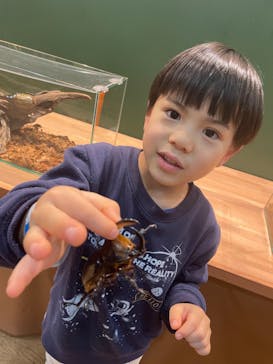 淡路ファームパーク イングランドの丘に投稿された画像（2024/1/5）