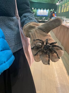 淡路ファームパーク イングランドの丘に投稿された画像（2024/1/5）