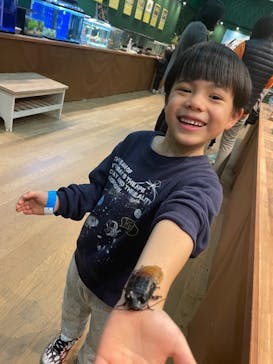 淡路ファームパーク イングランドの丘に投稿された画像（2024/1/5）