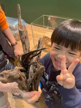 淡路ファームパーク イングランドの丘に投稿された画像（2024/1/5）