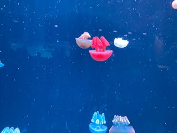 AOAO SAPPOROに投稿された画像（2024/1/5）