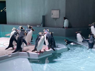 AOAO SAPPOROに投稿された画像（2024/1/5）