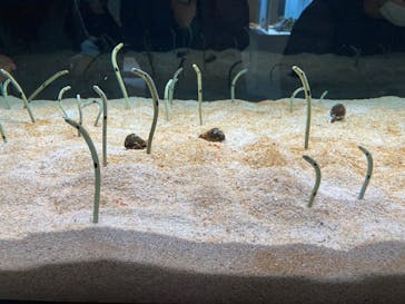 AOAO SAPPOROに投稿された画像（2024/1/5）