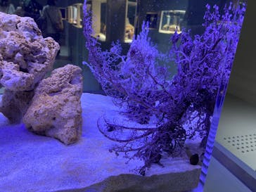 AOAO SAPPOROに投稿された画像（2024/1/5）