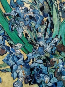 ゴッホと静物画　伝統から革新へ（SＯＭＰＯ美術館）に投稿された画像（2024/1/5）