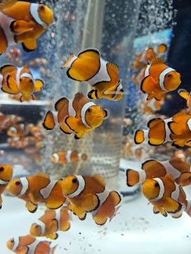 鴨川シーワールドに投稿された画像（2024/1/5）