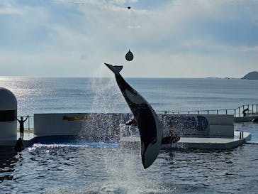 鴨川シーワールドに投稿された画像（2024/1/5）