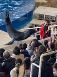 アクアワールド茨城県大洗水族館に投稿された画像（2024/1/5）