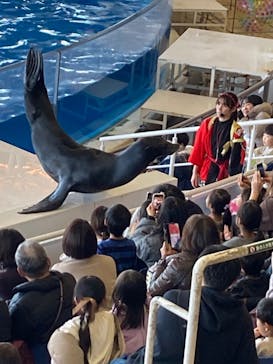 アクアワールド茨城県大洗水族館に投稿された画像（2024/1/5）