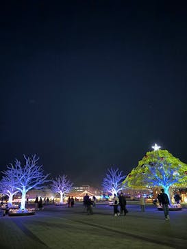 東京メガイルミに投稿された画像（2024/1/5）