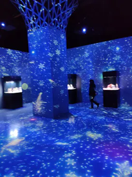 マクセル アクアパーク品川に投稿された画像（2024/1/5）