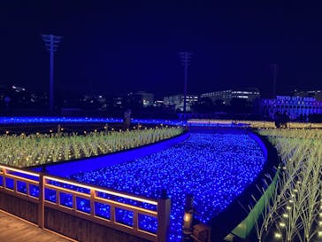 東京メガイルミに投稿された画像（2024/1/5）