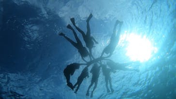 西表島 ADVENTURE PiPi（アドベンチャーピピ）に投稿された画像（2024/1/5）