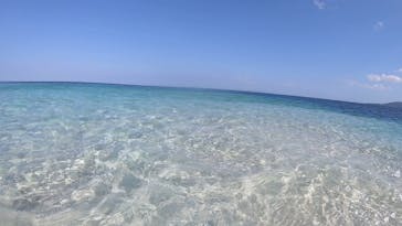 西表島 ADVENTURE PiPi（アドベンチャーピピ）に投稿された画像（2024/1/5）