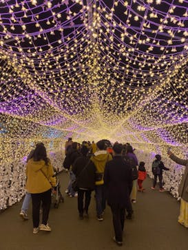 東京メガイルミに投稿された画像（2024/1/5）