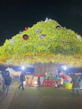 東京メガイルミに投稿された画像（2024/1/5）