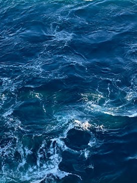 徳島県立 渦の道に投稿された画像（2024/1/5）