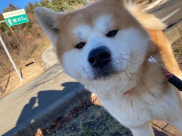 一般社団法人ヘルスケアデザイン秋田に投稿された画像（2024/1/5）