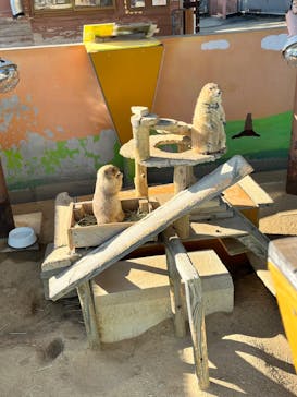 淡路ファームパーク イングランドの丘に投稿された画像（2024/1/5）