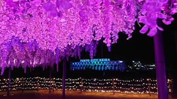 東京メガイルミに投稿された画像（2024/1/5）