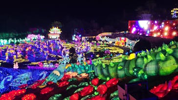 伊豆ぐらんぱる公園に投稿された画像（2024/1/5）