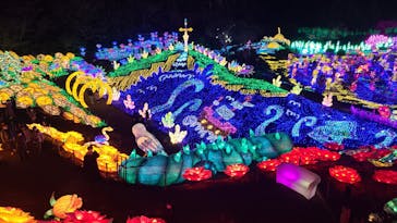 伊豆ぐらんぱる公園に投稿された画像（2024/1/5）