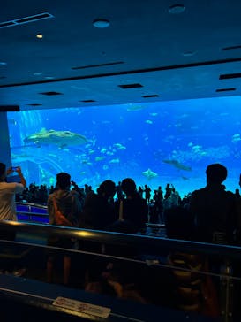 沖縄美ら海水族館に投稿された画像（2024/1/5）