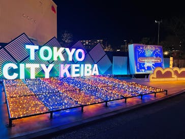 東京メガイルミに投稿された画像（2024/1/5）