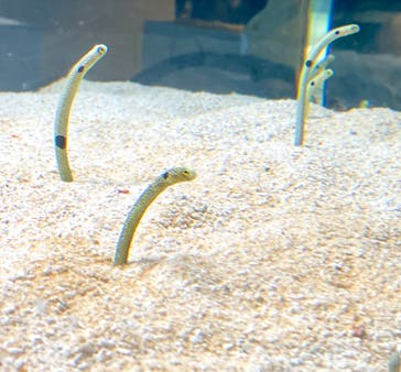 AOAO SAPPOROに投稿された画像（2024/1/5）