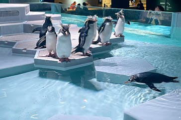 AOAO SAPPOROに投稿された画像（2024/1/5）