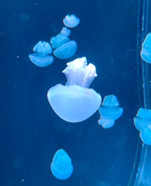 AOAO SAPPOROに投稿された画像（2024/1/5）