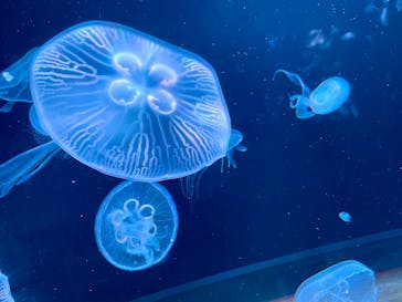 AOAO SAPPOROに投稿された画像（2024/1/5）