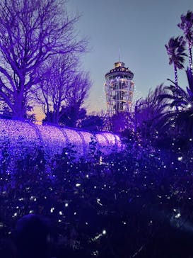 江の島シーキャンドルに投稿された画像（2024/1/5）