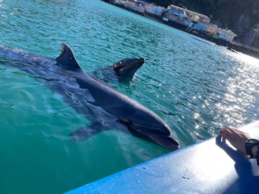 下田海中水族館に投稿された画像（2024/1/5）