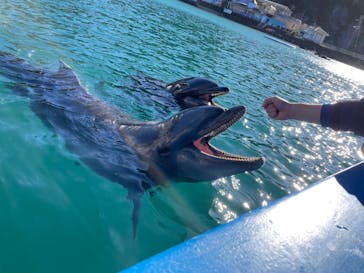 下田海中水族館に投稿された画像（2024/1/5）