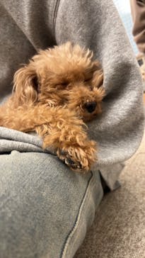 Moff アニマル カフェ イーアス 高尾店に投稿された画像（2024/1/5）