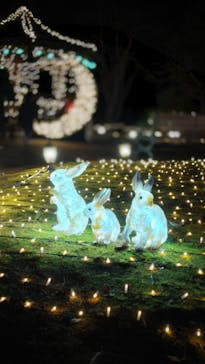 修善寺虹の郷に投稿された画像（2024/1/5）