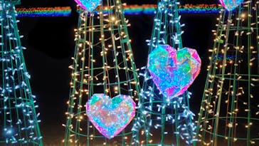 修善寺虹の郷に投稿された画像（2024/1/5）