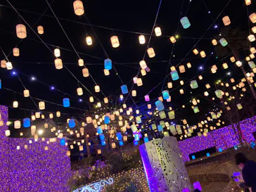 ひらかたパークに投稿された画像（2024/1/5）