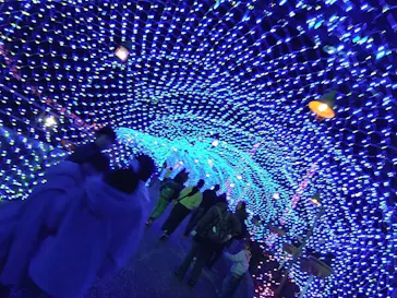 ひらかたパークに投稿された画像（2024/1/5）