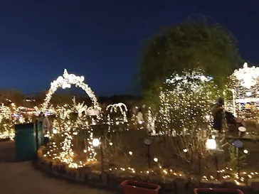 ひらかたパークに投稿された画像（2024/1/5）