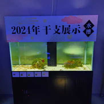 横浜・八景島シーパラダイスに投稿された画像（2024/1/5）