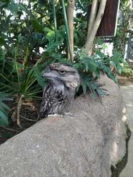 神戸どうぶつ王国に投稿された画像（2024/1/5）