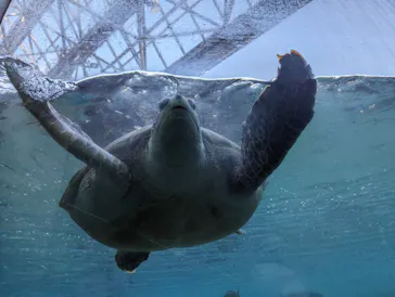 横浜・八景島シーパラダイスに投稿された画像（2024/1/5）