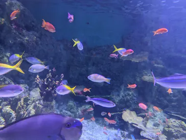 横浜・八景島シーパラダイスに投稿された画像（2024/1/5）