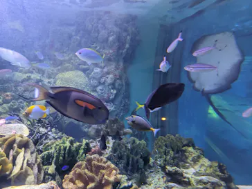 横浜・八景島シーパラダイスに投稿された画像（2024/1/5）