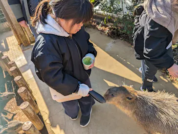 横浜・八景島シーパラダイスに投稿された画像（2024/1/5）