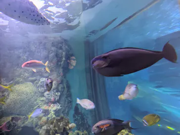 横浜・八景島シーパラダイスに投稿された画像（2024/1/5）