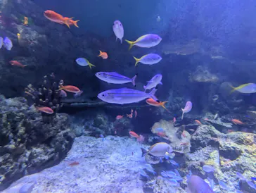 横浜・八景島シーパラダイスに投稿された画像（2024/1/5）