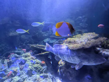 横浜・八景島シーパラダイスに投稿された画像（2024/1/5）